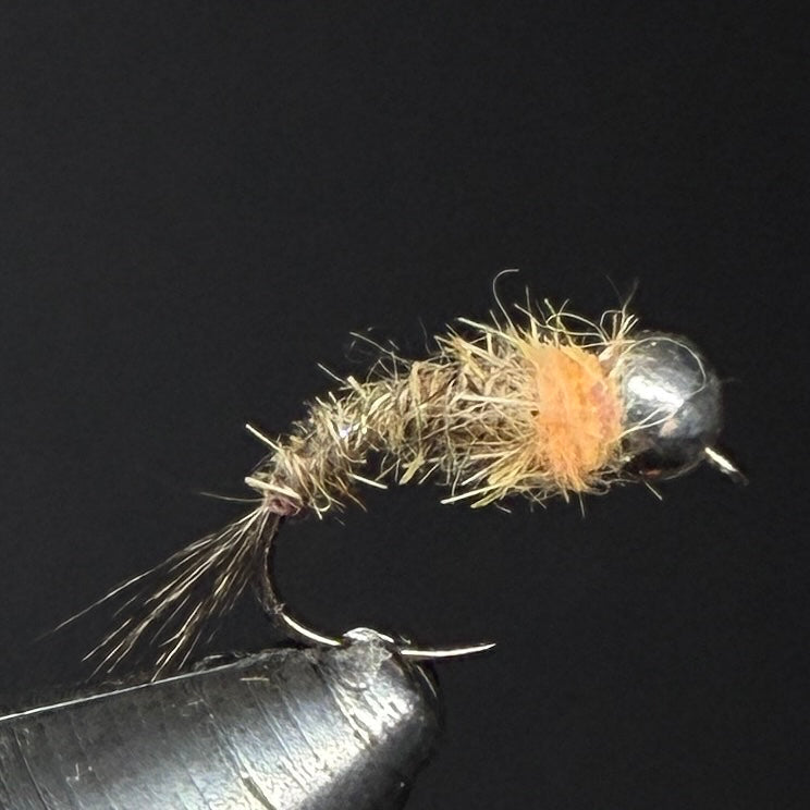 Nymphe argent "spot saumon"