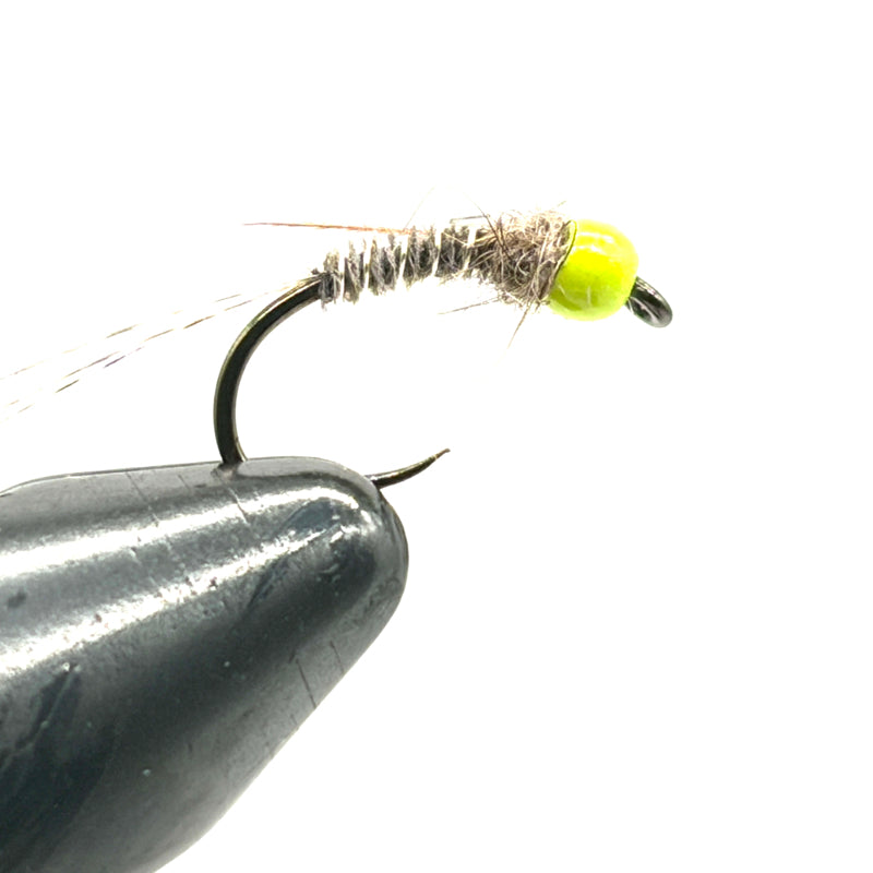 Nymphe Tungstène bille Jaune