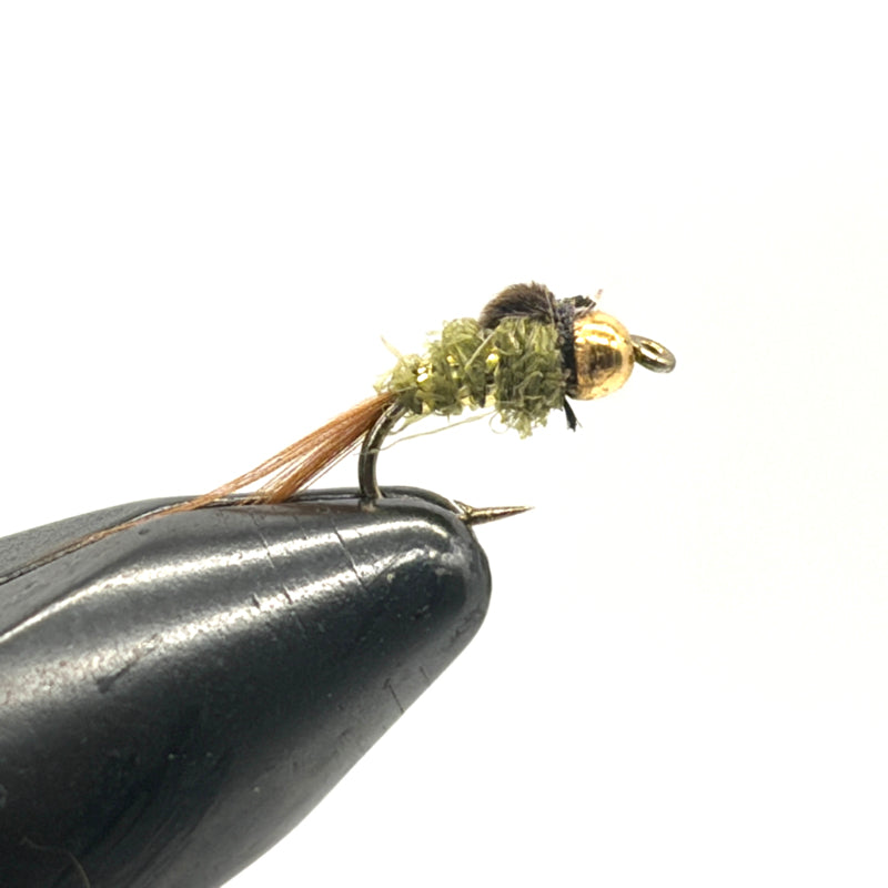 Nymphe Tungstène Lièvre Olive