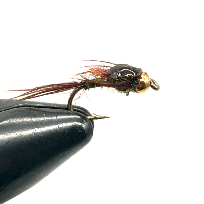 Nymphe olive bille or