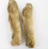 Pattes de lièvre de Patagonie