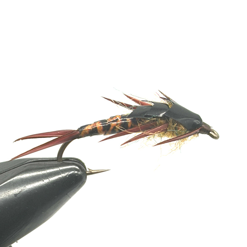 Nymphe Larve de Perle Pates Bio D'oie