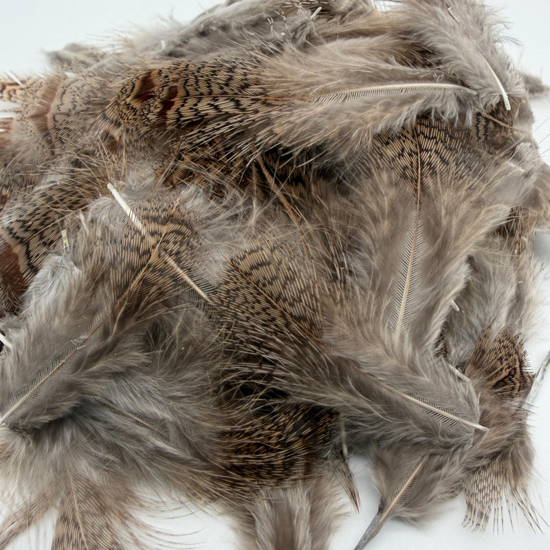 Plumes de perdrix naturel Veniard